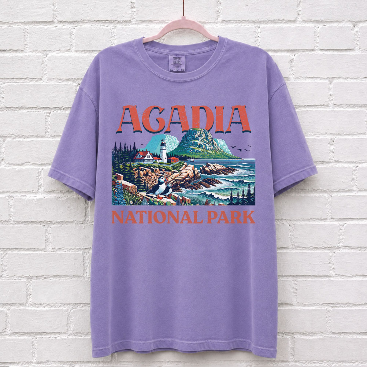 Acadia National Park Landscape T-Shirt in Violet