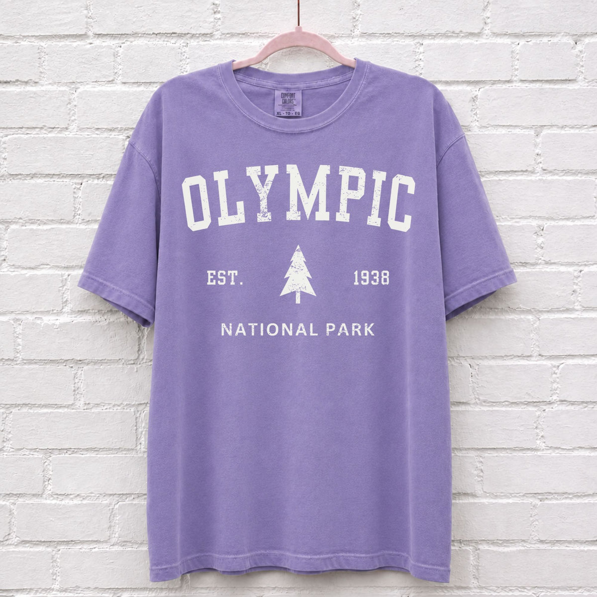 Vintage Olympic National Park Est 1938 T-Shirt – alternate product view