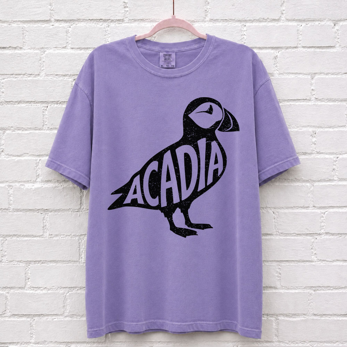 Acadia National Park Puffin Graphic T-Shirt in Violet