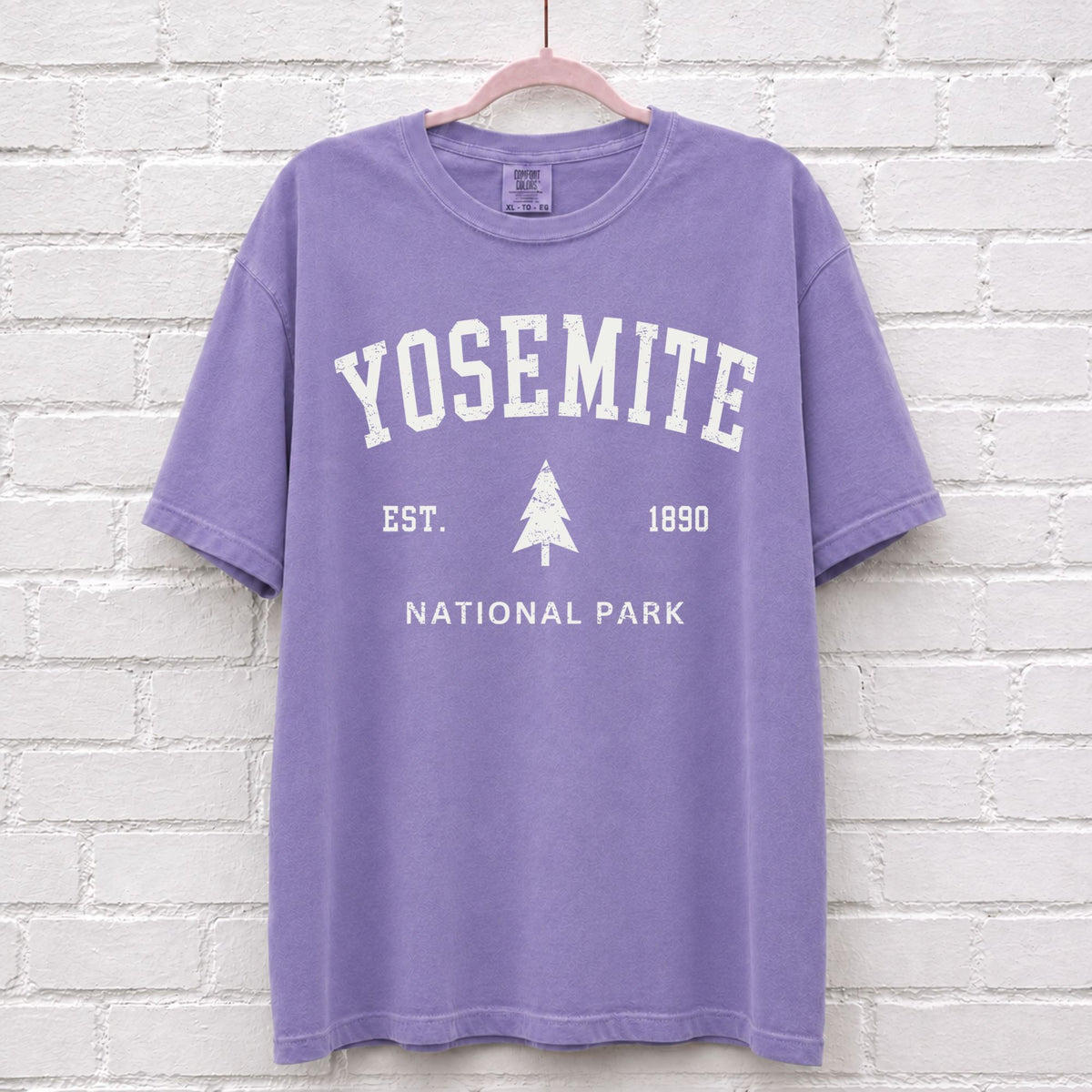 Vintage Yosemite National Park Est 1890 T-Shirt in Violet