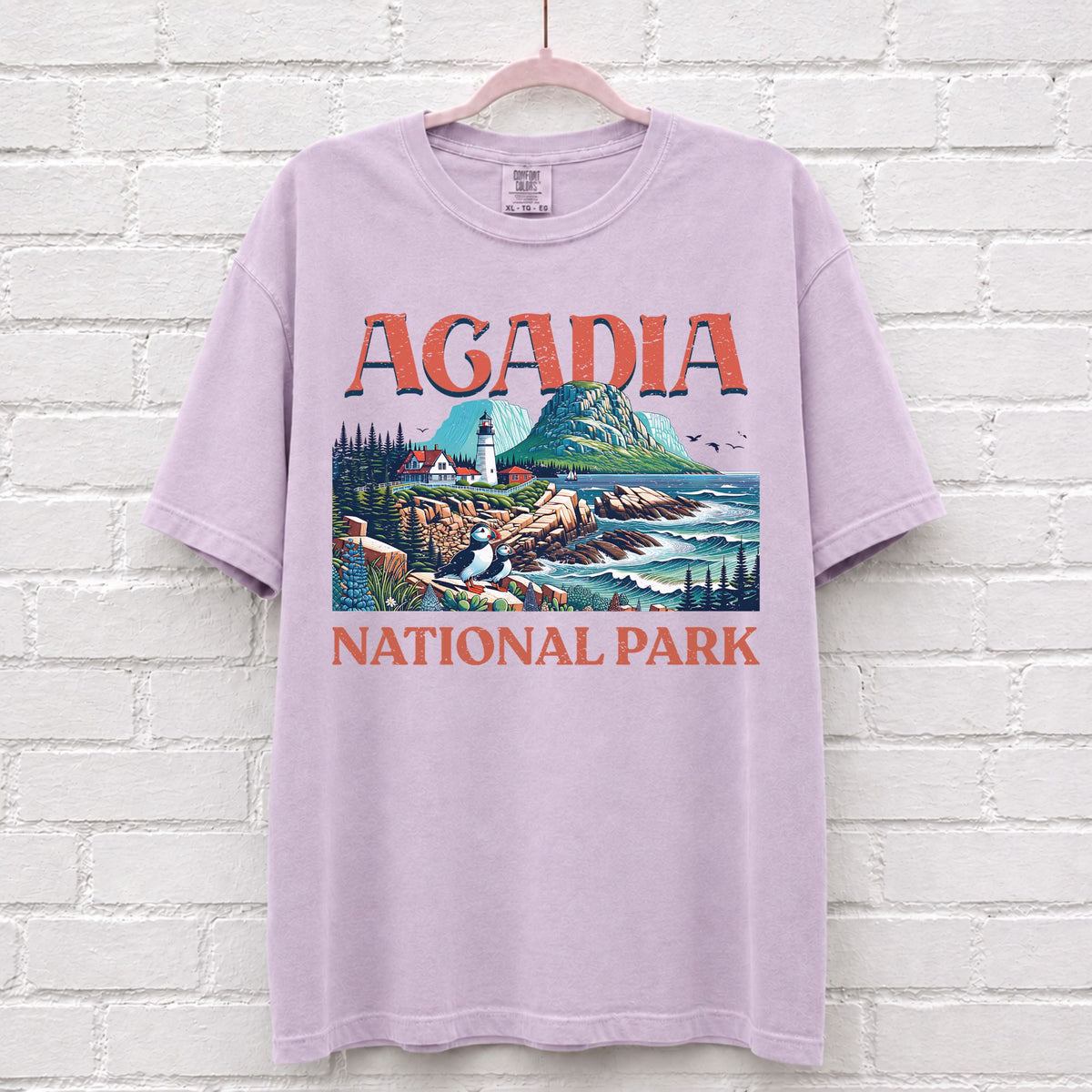 Acadia National Park Landscape T-Shirt in Orchid
