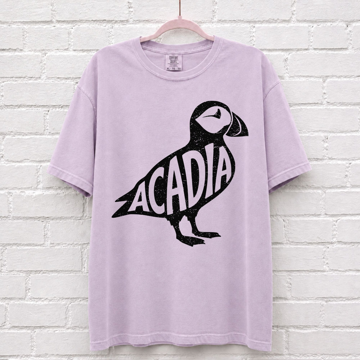 Acadia National Park Puffin Graphic T-Shirt in Orchid