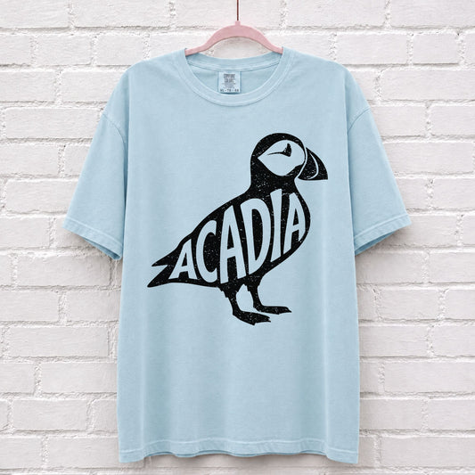 Acadia National Park Puffin Graphic T-Shirt in Chambray