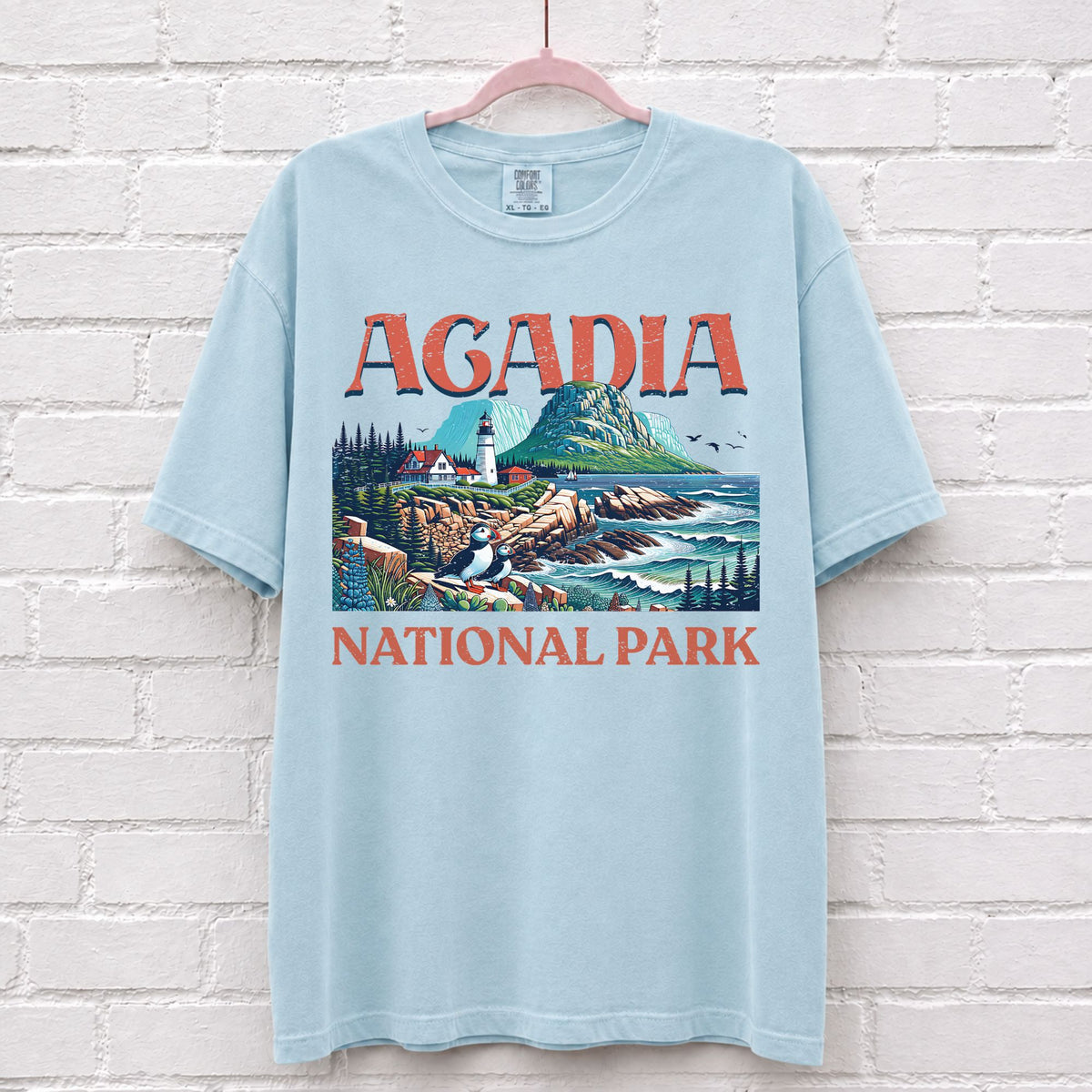 Acadia National Park Landscape T-Shirt in Chambray