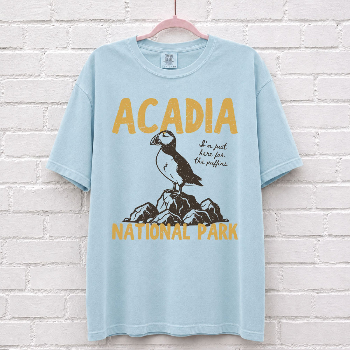 Acadia National Park Puffin T-Shirt in Chambray