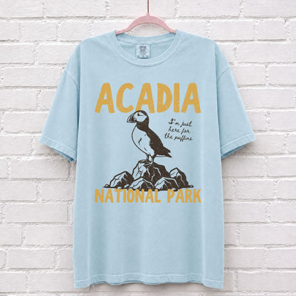 Acadia National Park Puffin T-Shirt in Chambray