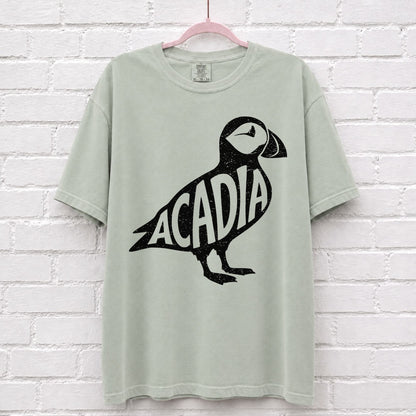 Acadia National Park Puffin Graphic T-Shirt in Bay
