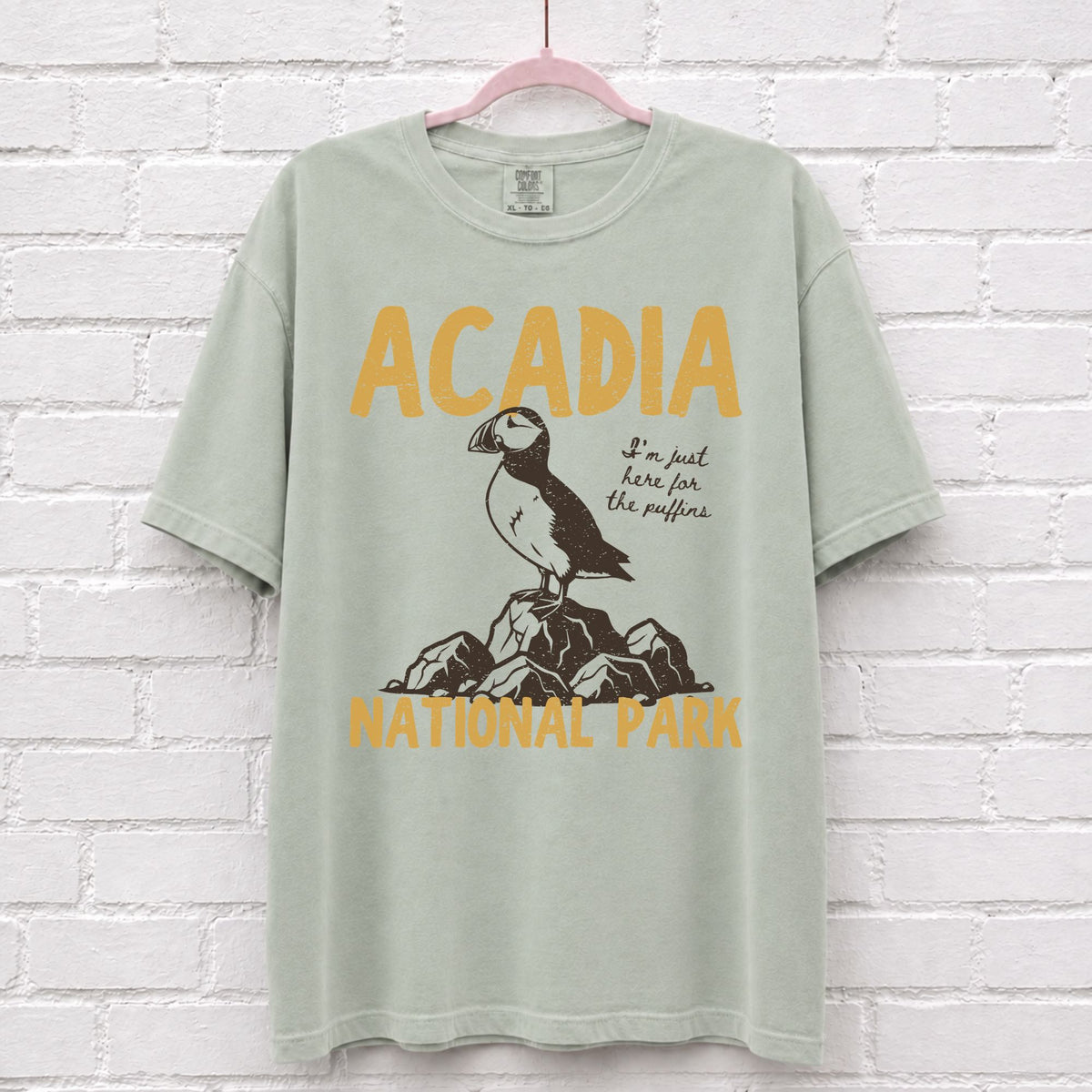 Acadia National Park Puffin T-Shirt in Bay