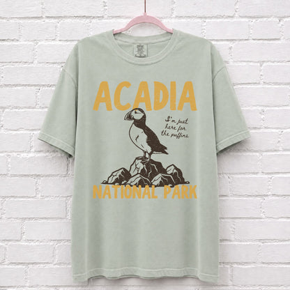 Acadia National Park Puffin T-Shirt in Bay