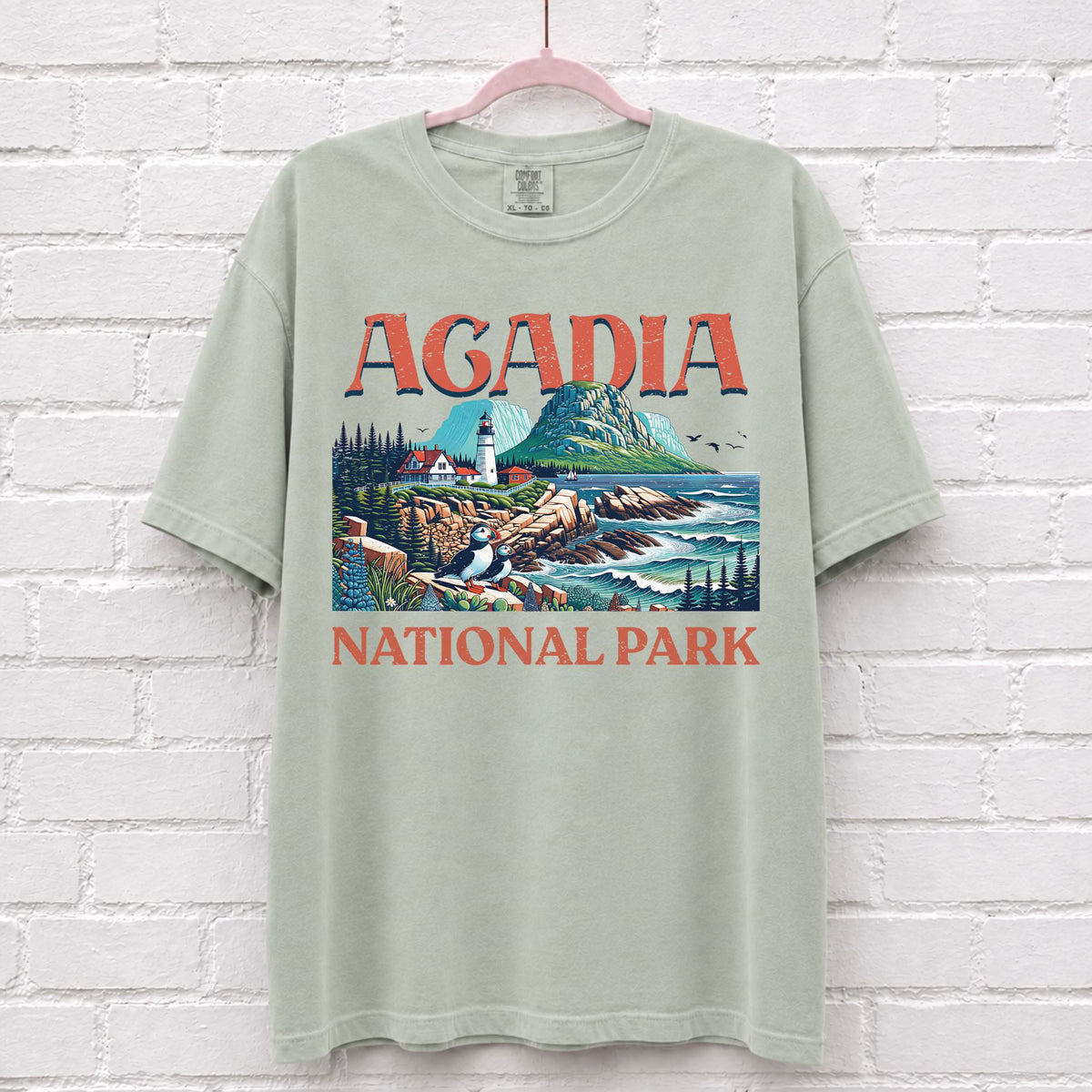 Acadia National Park Landscape T-Shirt in Bay