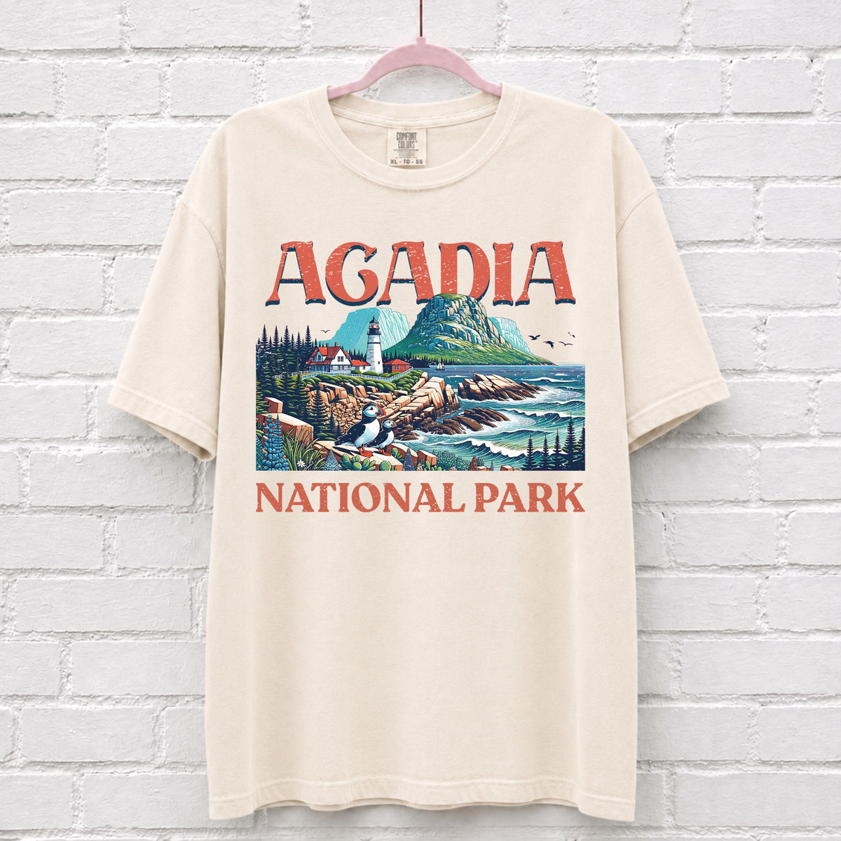 Acadia National Park Landscape T-Shirt in Ivory