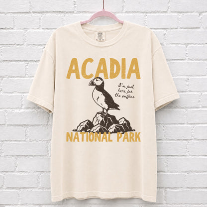 Acadia National Park Puffin T-Shirt in Ivory