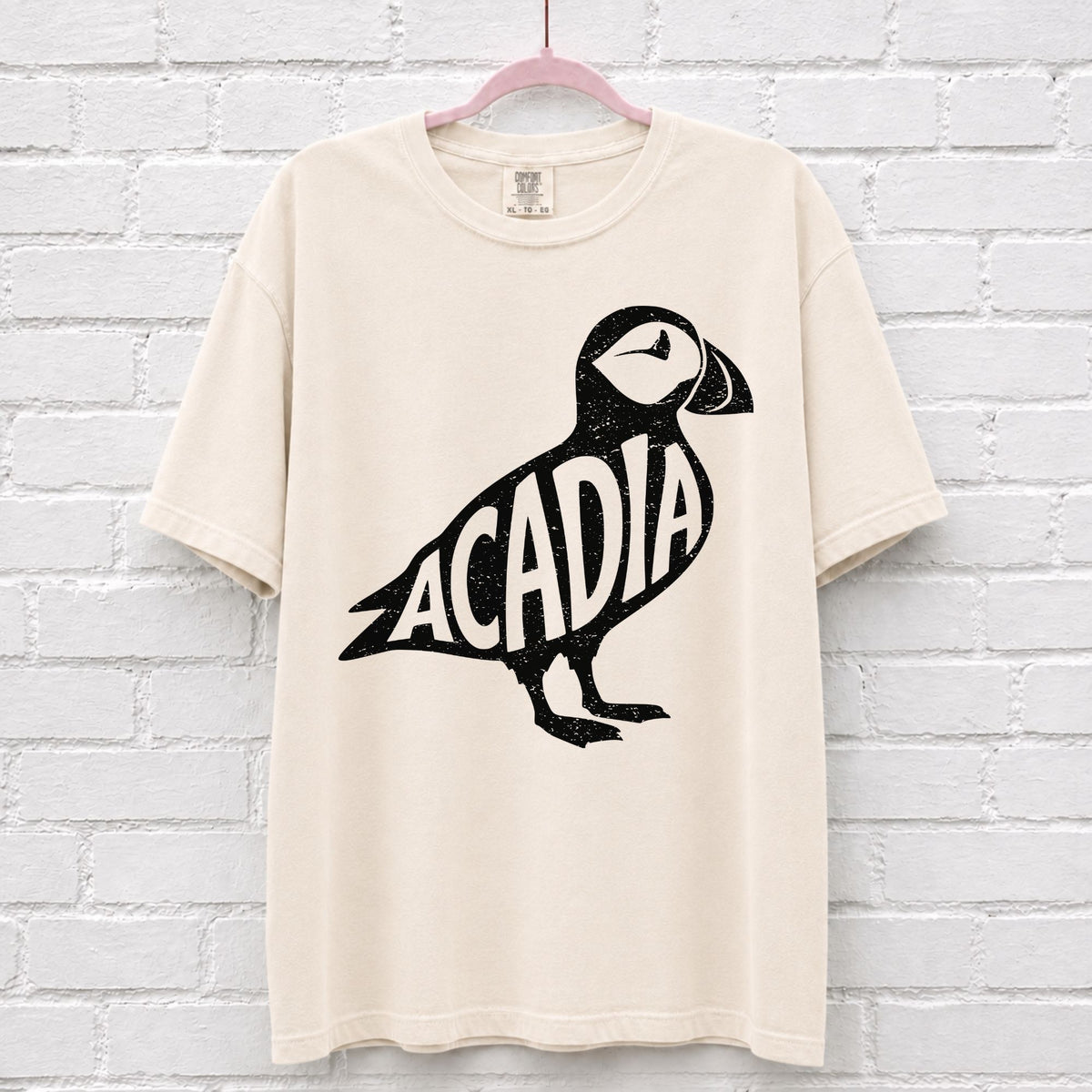 Acadia National Park Puffin Graphic T-Shirt in Ivory