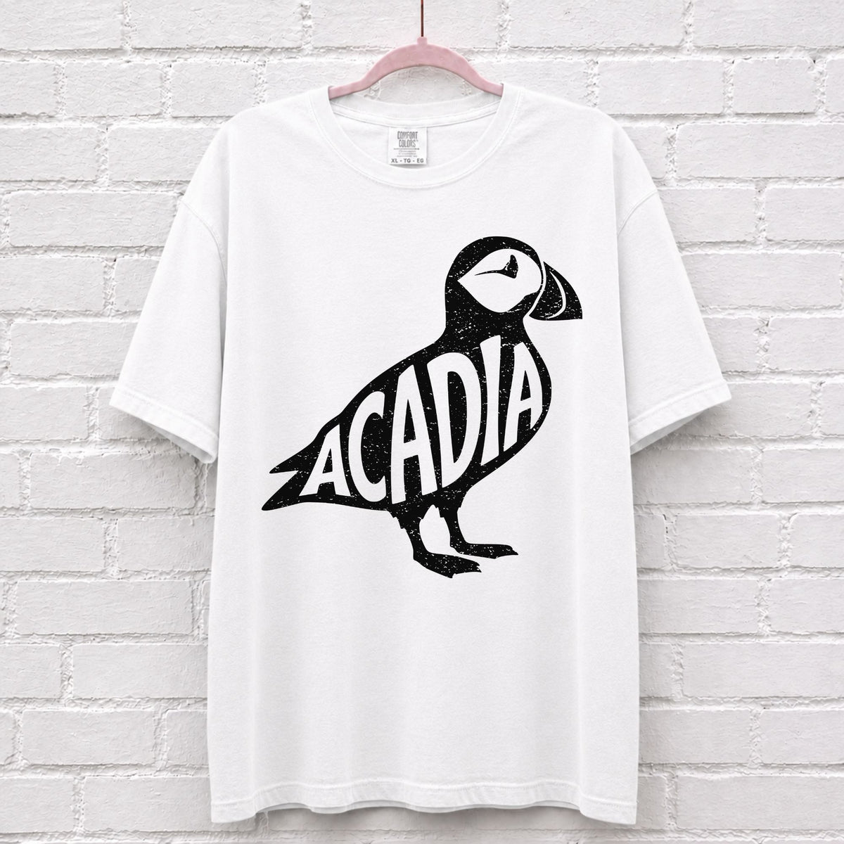 Acadia National Park Puffin Graphic T-Shirt in White