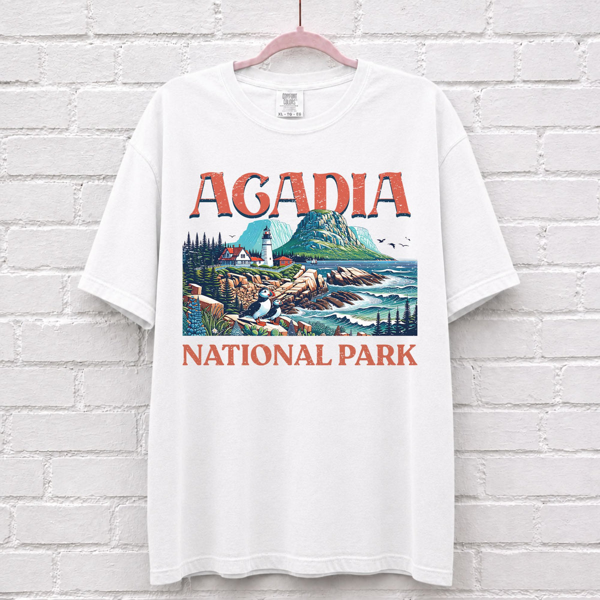 Acadia National Park Landscape T-Shirt in White