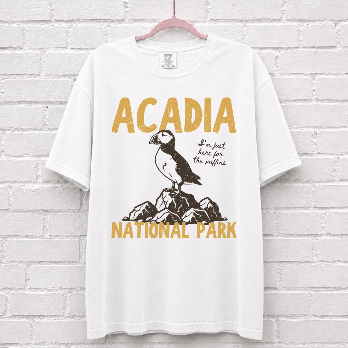 Acadia National Park Puffin T-Shirt in White
