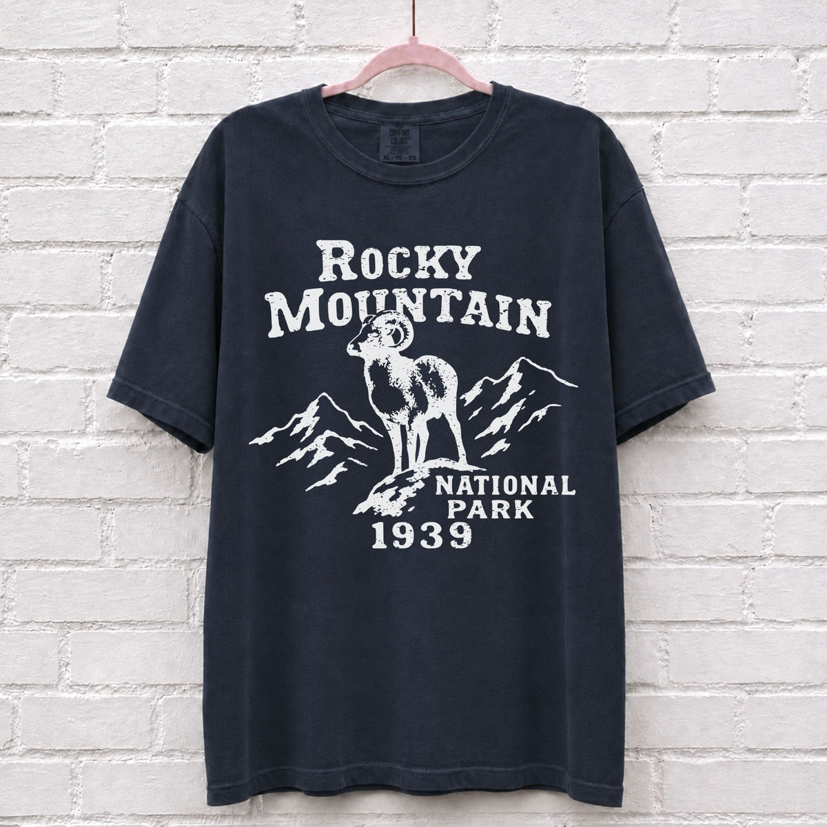 Rocky Mountain National Park Vintage T-Shirt