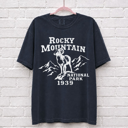 Rocky Mountain National Park Vintage T-Shirt