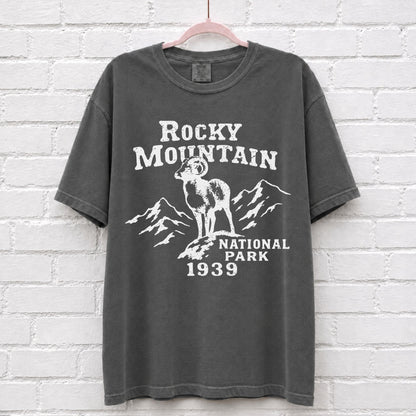 Rocky Mountain National Park Vintage T-Shirt