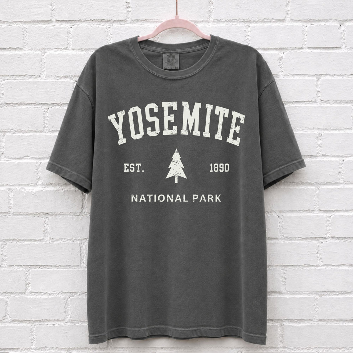 Vintage Yosemite National Park Est 1890 T-Shirt in Pepper