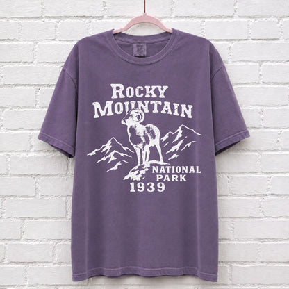 Rocky Mountain National Park Vintage T-Shirt