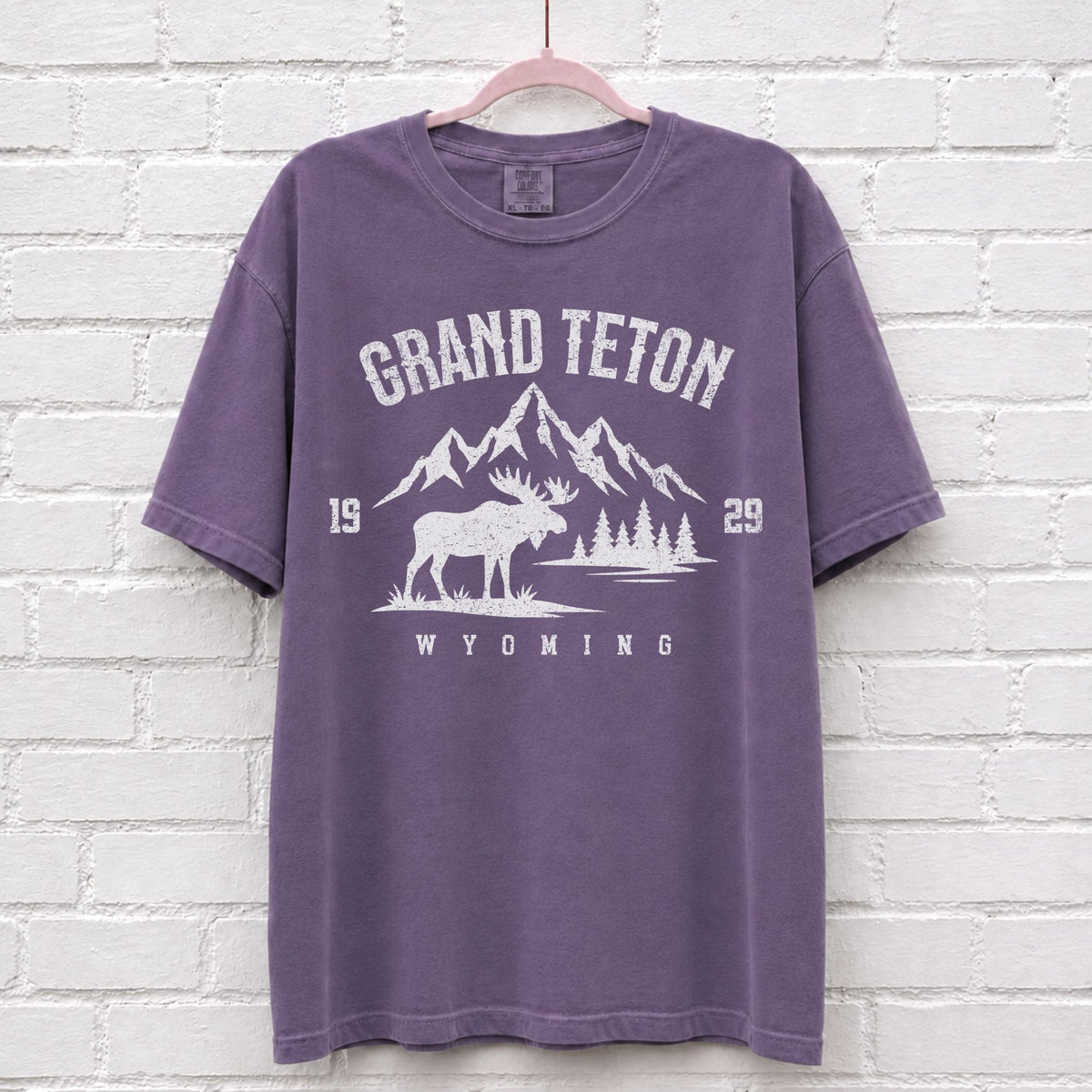Grand Teton Wyoming Moose T-Shirt