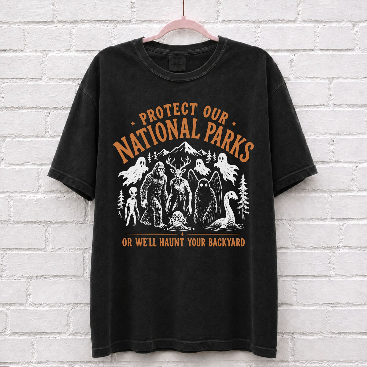 Protect Our National Parks Cryptid T-Shirt in Black