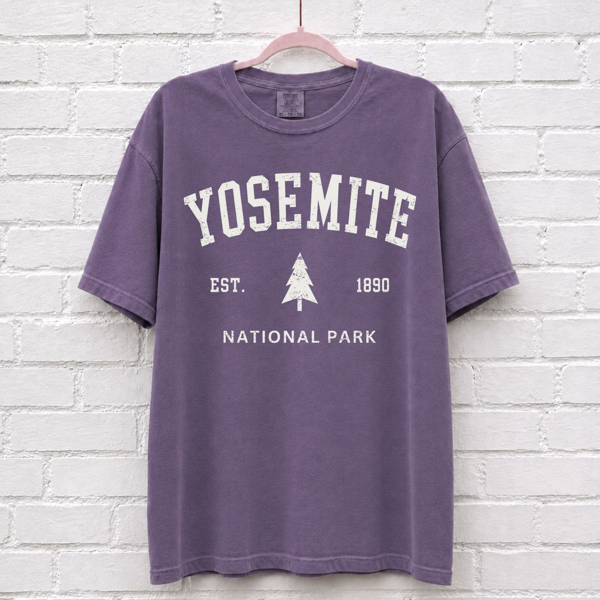 Vintage Yosemite National Park Est 1890 T-Shirt in Grape