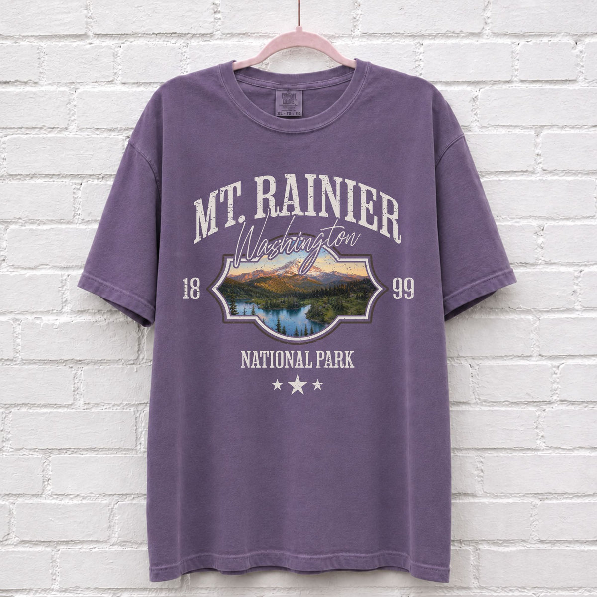 Mount Rainier National Park Washington T-Shirt in Grape