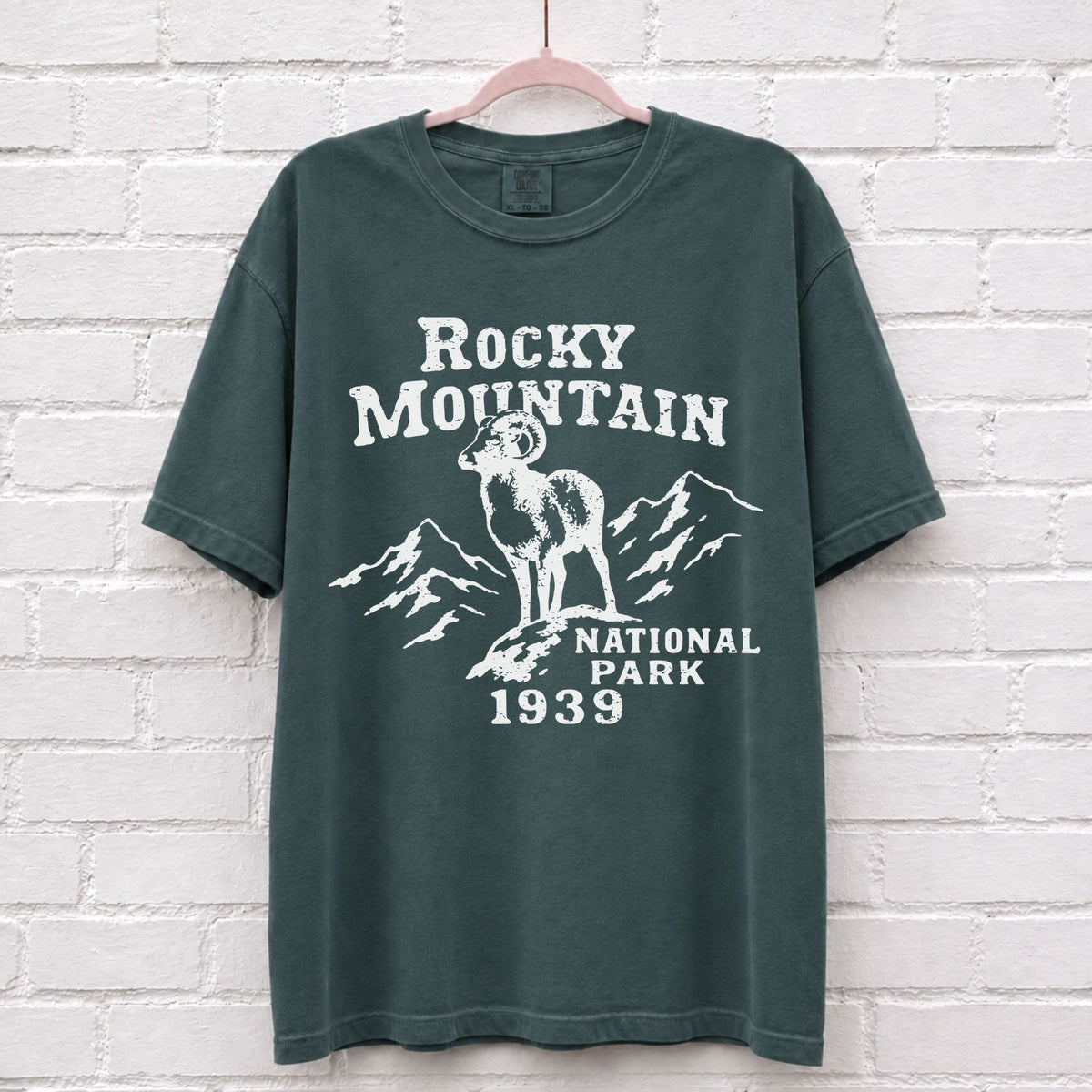 Rocky Mountain National Park Vintage T-Shirt