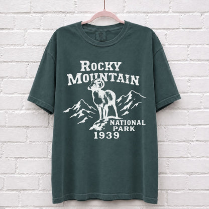 Rocky Mountain National Park Vintage T-Shirt