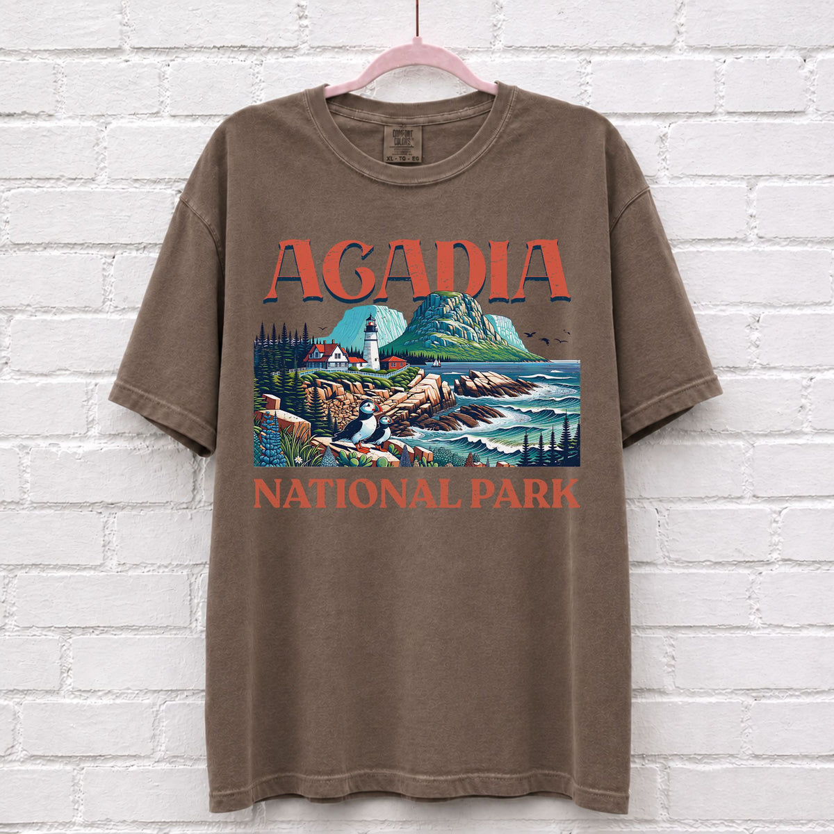 Acadia National Park Landscape T-Shirt in Espresso