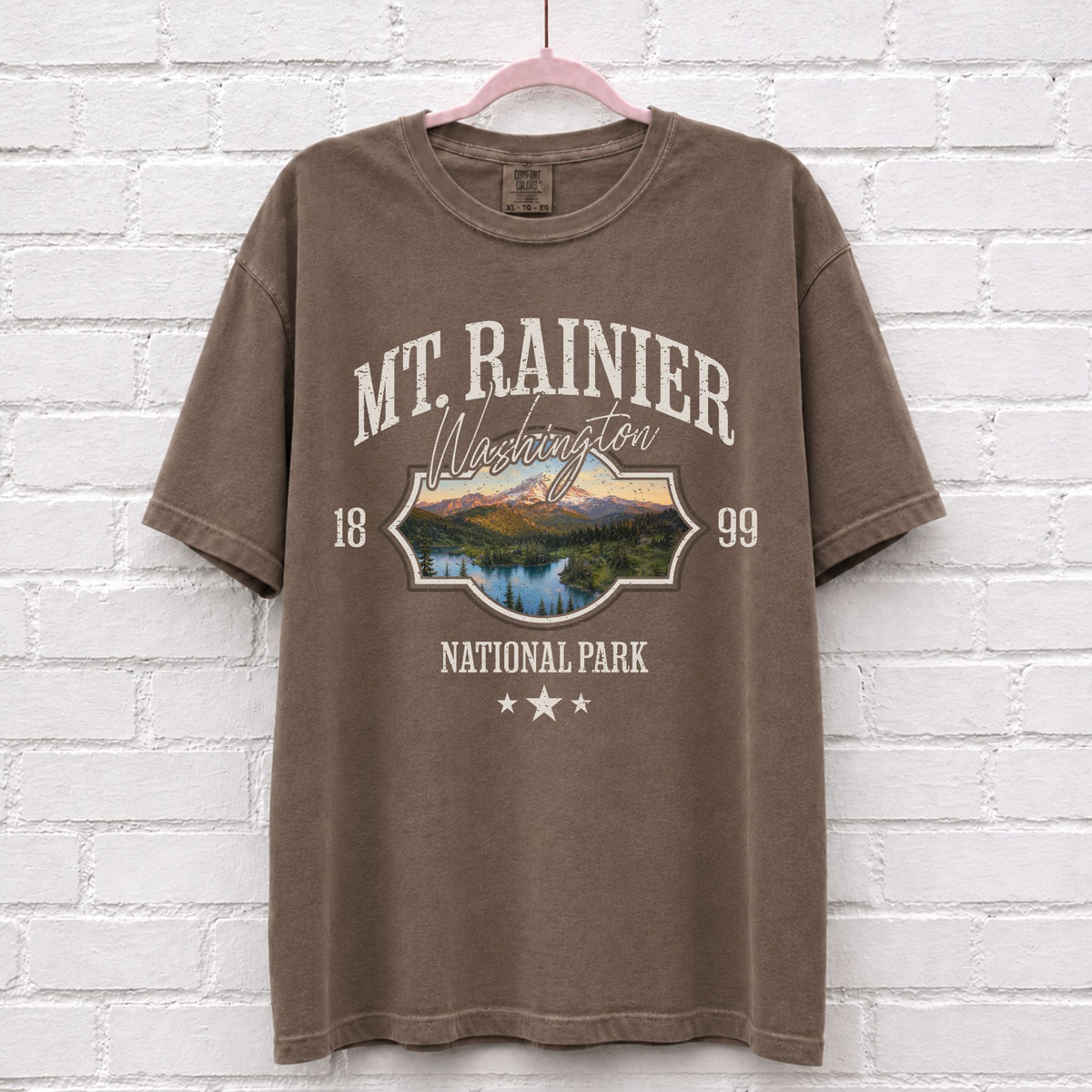 Mount Rainier National Park Washington T-Shirt in Espresso