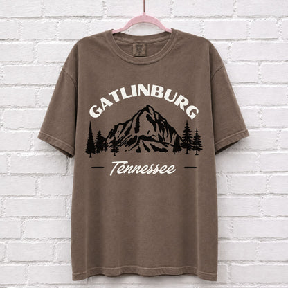 Vintage Gatlinburg Tennessee T-Shirt