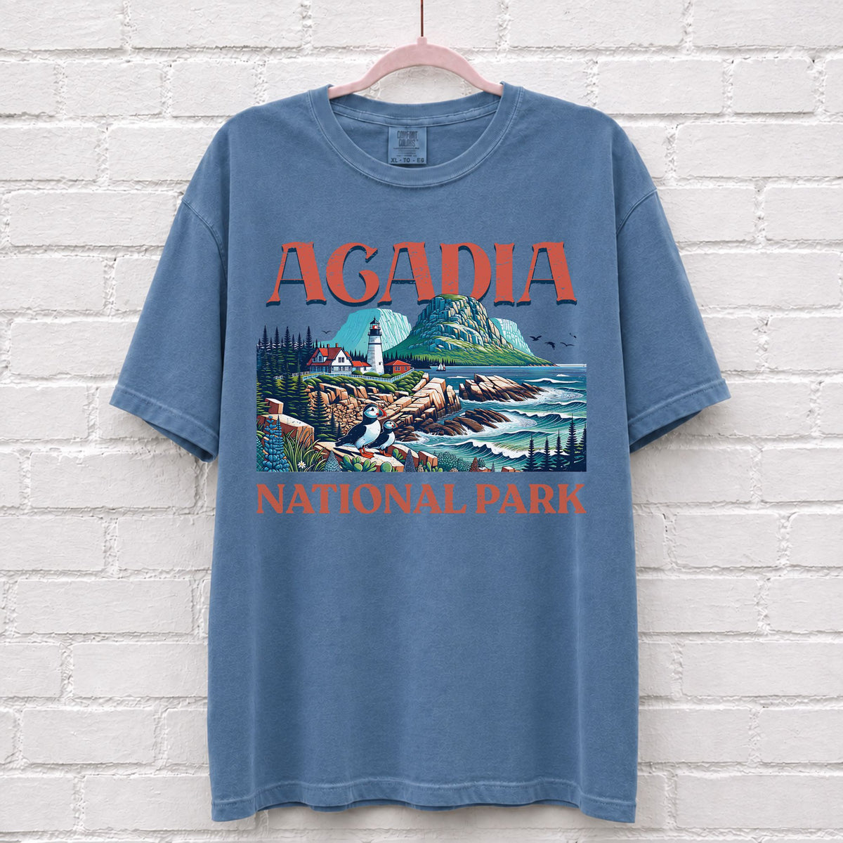 Acadia National Park Landscape T-Shirt in Blue Jean