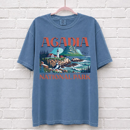 Acadia National Park Landscape T-Shirt in Blue Jean